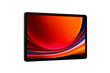 Tablet Samsung Galaxy Tab S9 256/12GB Graphite